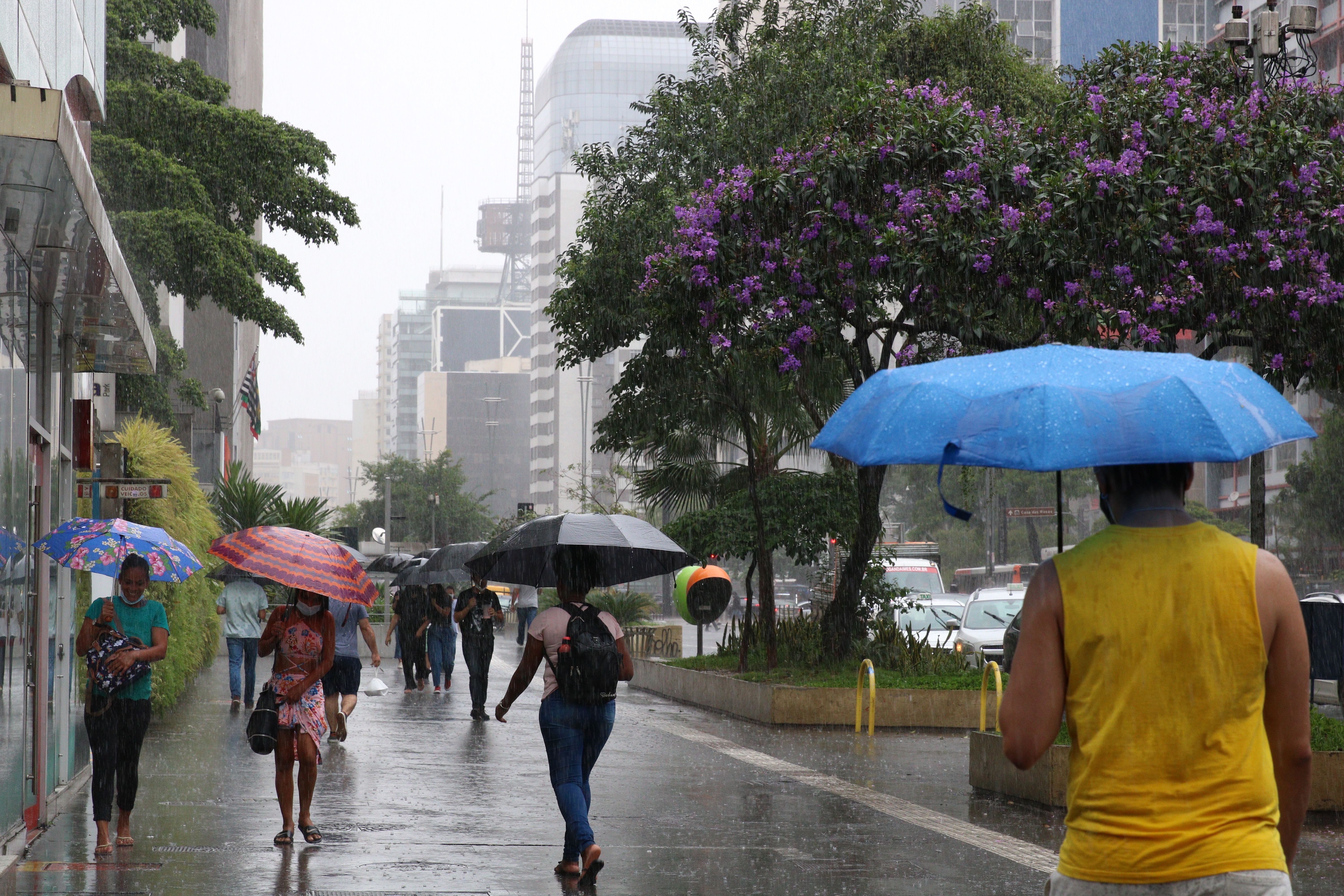 Chuva em São Paulo | verão | clima | tempo