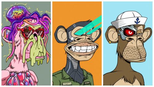 Exemplos de macacos vendidos pela companhia; ao todo são aproximadamente 10 mil NFTs