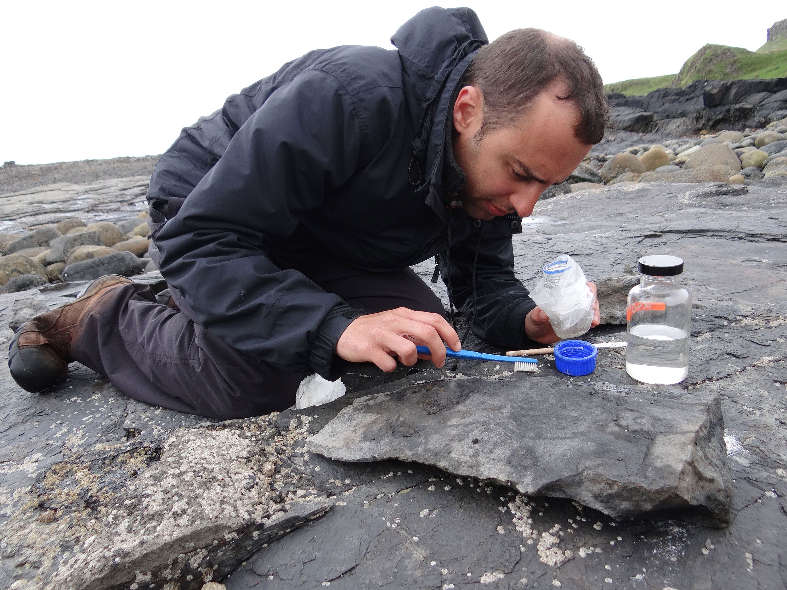 O fóssil de pterossauro é o maior conhecido do período Jurássico, disse Steve Brusatte, professor de paleontologia e evolução da Universidade de Edimburgo / Universidade de Edimburgo