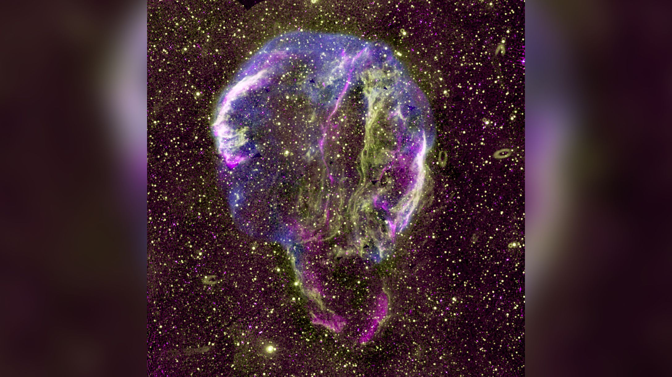 Uma composição de rádio (roxo), UV (amarelo) e imagem de raios-X (azul) do remanescente da supernova Cygnus na Via Láctea / Jennifer West