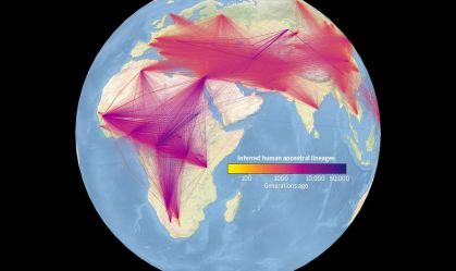 27 milhões de ancestrais e 100 mil anos: esta é maior árvore genealógica do mundo