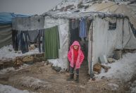 Palestinos fazem campanha de ajuda para refugiados sírios