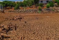 Cinco cidades da Paraíba têm situação de emergência decretada por estiagem