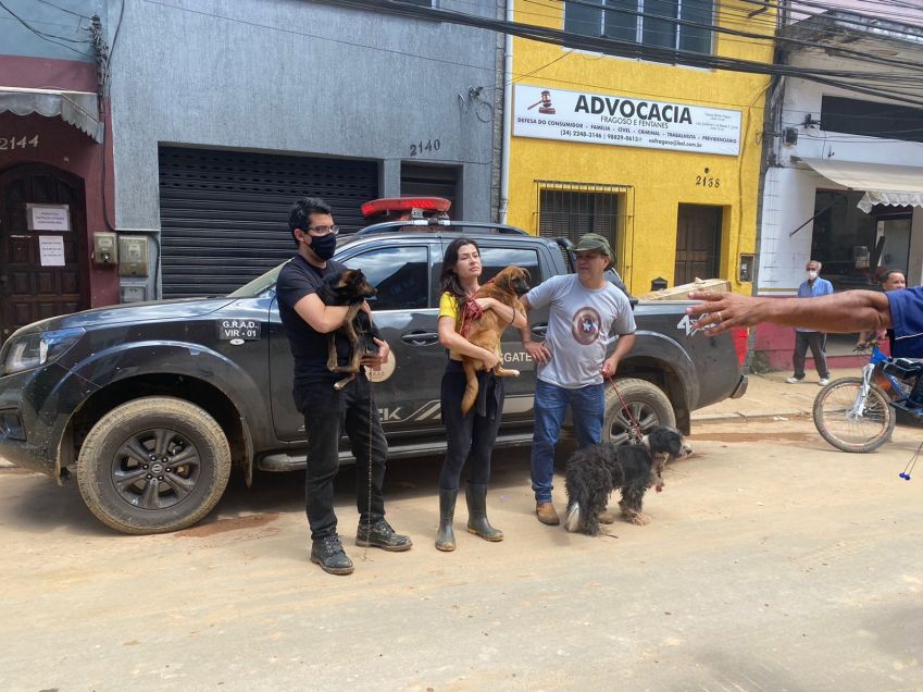 Voluntários e organizações cuidarão de animais resgatados até a adoção / RJPET, subsecretaria da Secretaria de Estado de Agricultura, Pecuária, Pesca e Abastecimento