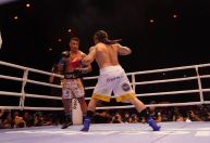 Popó e Whindersson: a busca do boxe brasileiro por um campeão e por visibilidade