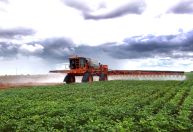 CNN Terra: Estudo identifica agrotóxicos na água da chuva em SP