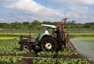 Com sanções à Rússia, escassez de fertilizantes ameaça oferta global de alimentos