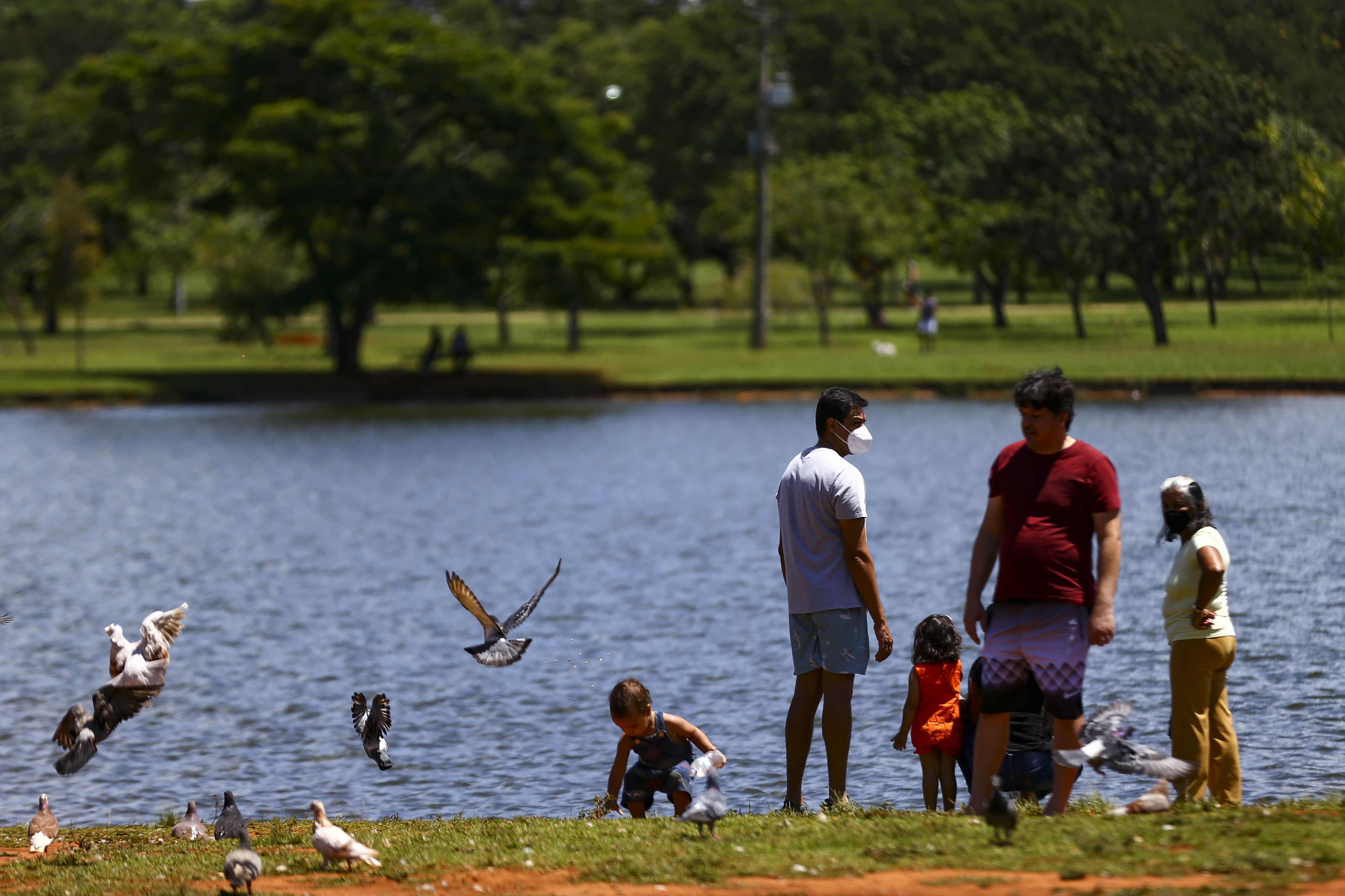 Brasília (DF)