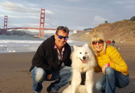 Casal viaja pelo mundo enquanto cuida de casas e pets de desconhecidos