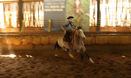 Cavalo Crioulo