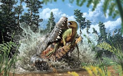 crocodilo