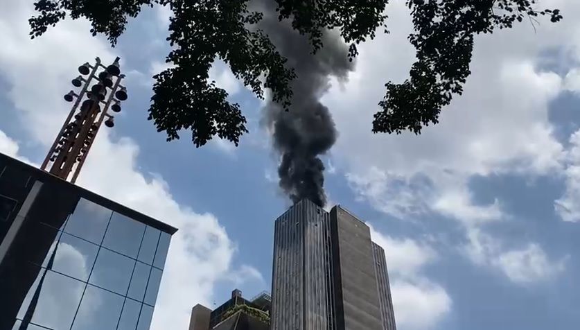 fogopaulista