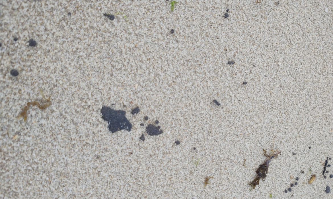 Manchas de óleo encontradas no litoral cearense
