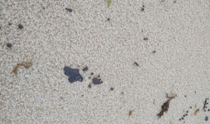 64 praias do litoral cearense registram manchas de óleo