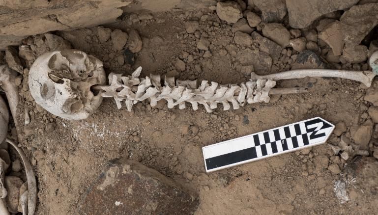 Um graveto com vértebras foi encaixado em um crânio, encontrado dentro de uma chullpa / J.L. Bongers/Anitquity Publications LTD.