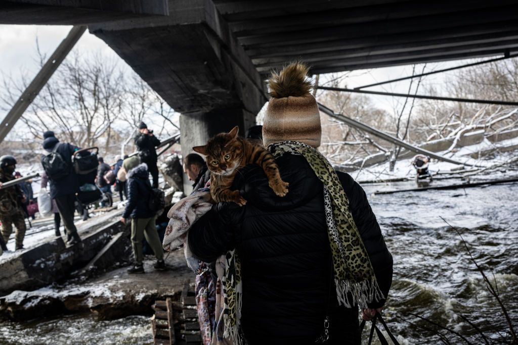 Civis fugindo de Irpin, perto de Kiev