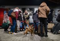Estados Unidos vão receber até 100 mil refugiados da Ucrânia