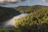 Câmara aprova emendas que retiram proteções do Código Florestal e da Mata Atlântica