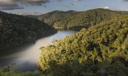 Câmara aprova emendas que retiram proteções do Código Florestal e da Mata Atlântica
