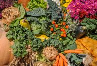 Banco Mundial, FMI e OMC pedem ajuda a países afetados por alta no preço de alimentos