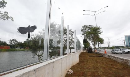 USP vai implantar corredor verde na Marginal Pinheiros, na capital paulista