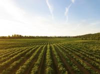 Governo lança Plano Safra da Agricultura Familiar com R$ 89 bi em recursos