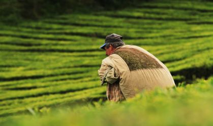 Oportunidades de emprego no agro quase dobram em um ano, segundo plataforma