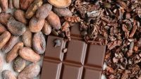 Cacau fecha em alta na bolsa de Nova York com aumento da oferta global
