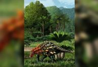 Dinossauro com armadura de espinhos é descoberto na China
