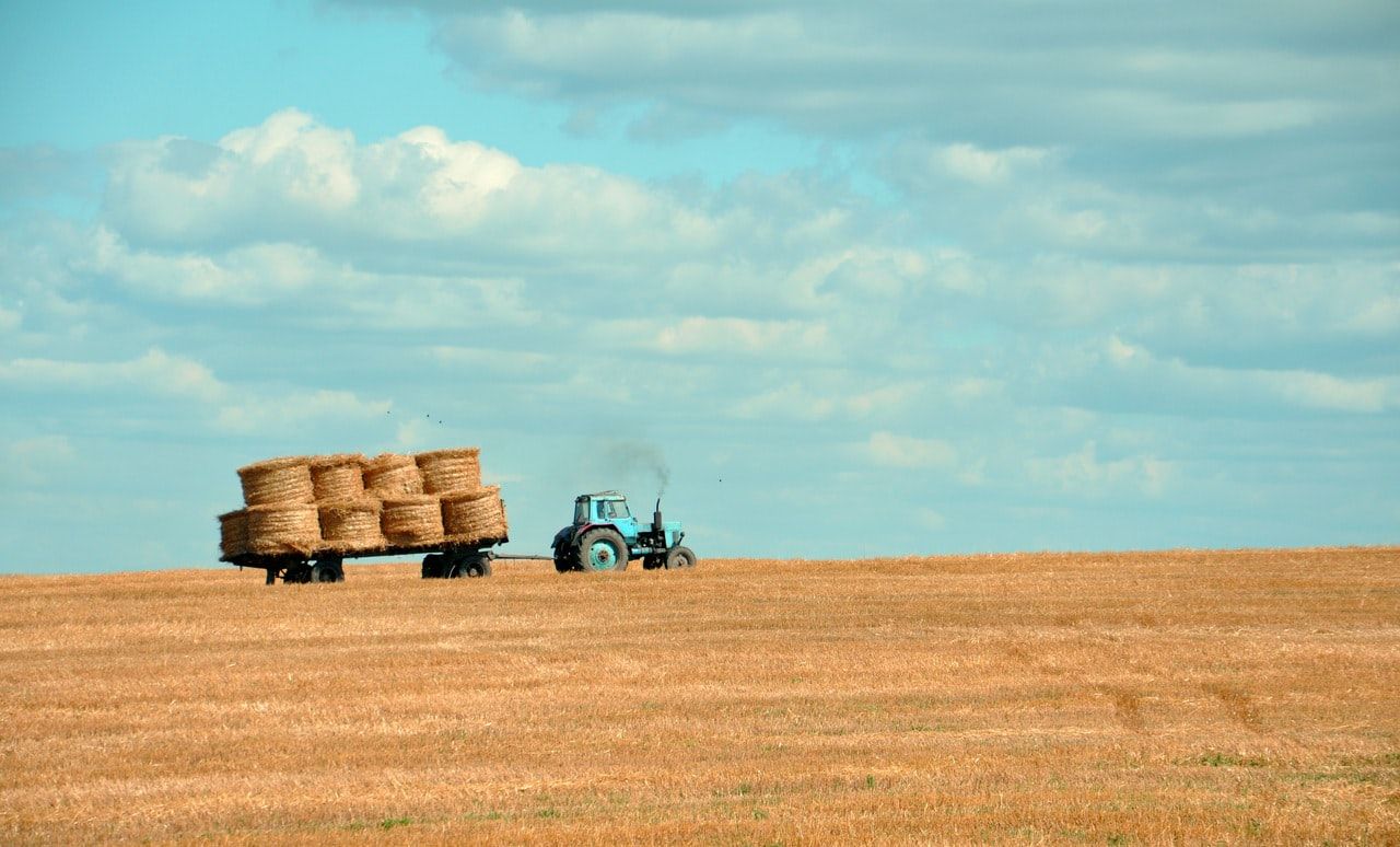 Imagem de destaque do post: IBGE e Conab esperam avanço da safra, e agro pode melhorar o PIB 2023