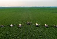 El Niño e mudanças climáticas afetam safras e dificultam previsão para agricultura em 2024