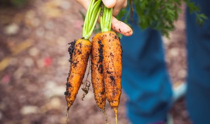 Governo aumenta prazo para cadastro na Agricultura Familiar