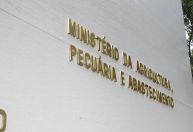 Dívidas de produtores gaúchos: Agricultura institui grupo de trabalho com comissão da Câmara