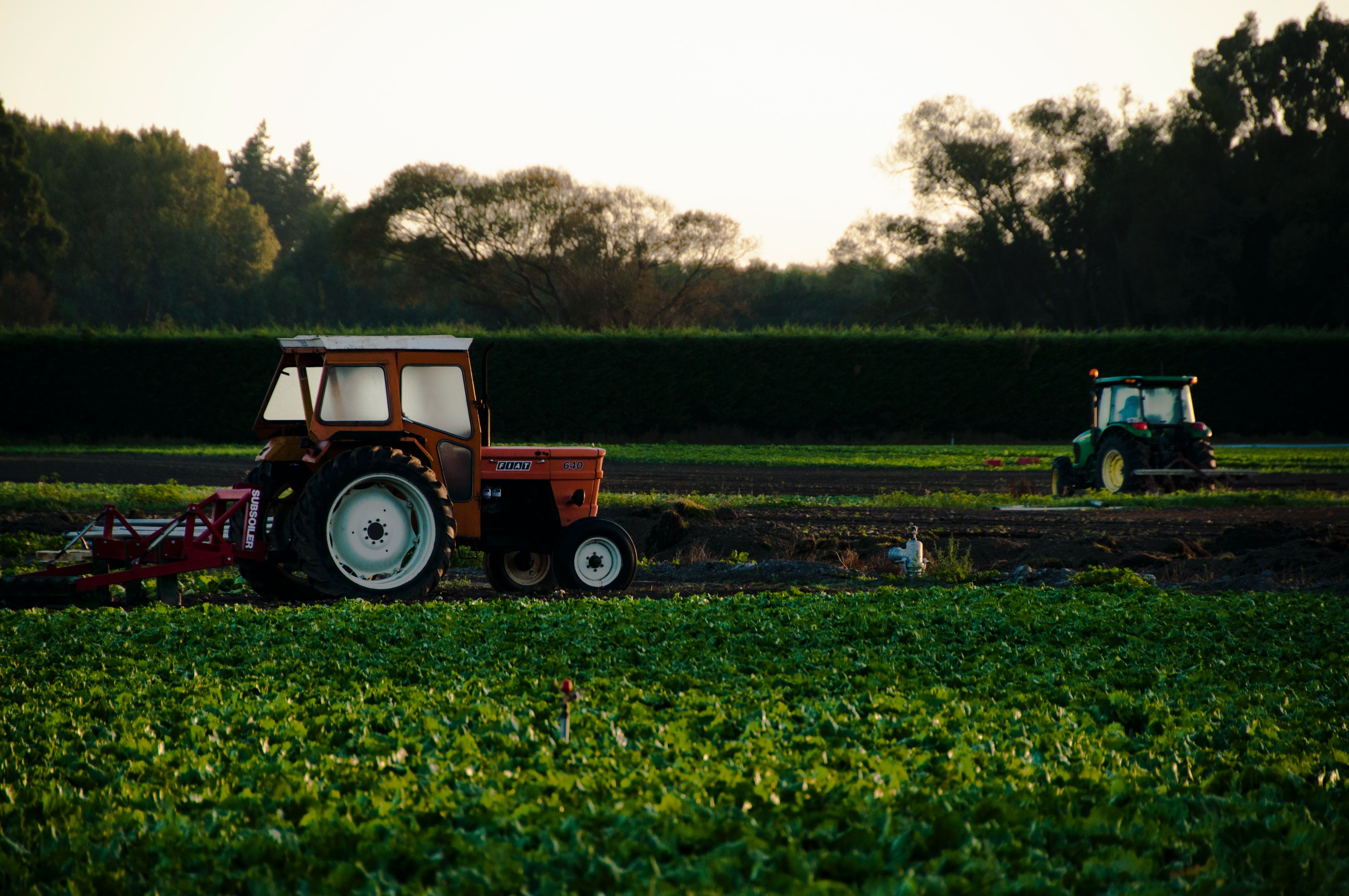 Imagem de destaque do post: Conexão Agro: Startups do campo atraem investimentos internacionais