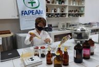 Cientistas investigam substâncias de plantas amazônicas com potencial contra câncer
