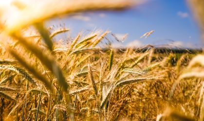FPA chama medidas do governo para conter alta dos alimentos de ineficazes