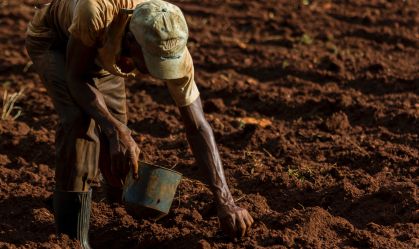 Pedidos de recuperação judicial no agro aumentam no 1º tri, aponta Serasa
