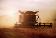 Governo publica regras que facilitam acesso ao crédito na agricultura familiar