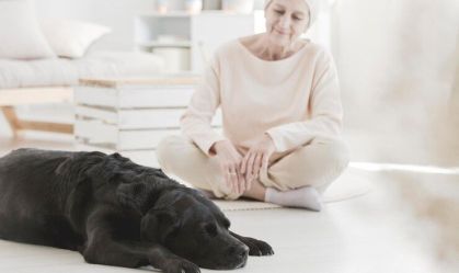 Interação com cachorro ajuda no tratamento da dor, diz estudo