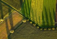 Bradesco projeta ampliar em até 15% carteira agro em 2025/26, diz diretor