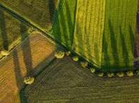 Bradesco projeta ampliar em até 15% carteira agro em 2025/26, diz diretor