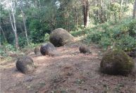 Jarros megalíticos gigantes e misteriosos foram desenterrados no nordeste da Índia