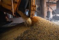 Brasil deve bater novo recorde de exportações com commodities em alta, dizem especialistas
