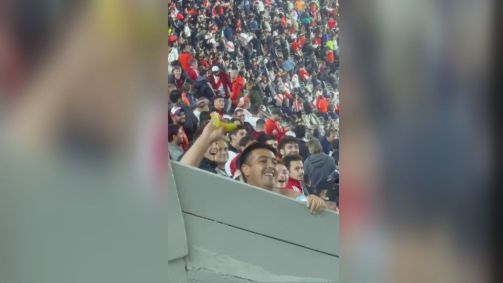 Torcedor do River Plate atira banana em direção à torcida do Fortaleza