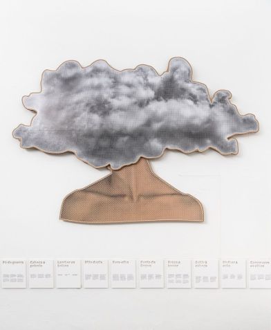 Obra de Jonathas de Andrade na Bienal de Veneza /