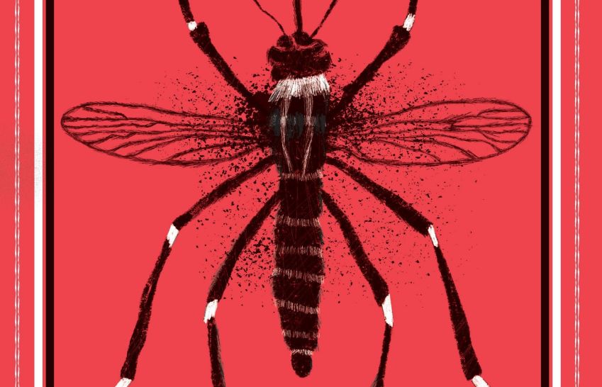 Livro "O mosquito: A incrível história do maior predador da humanidade" / Divulgação