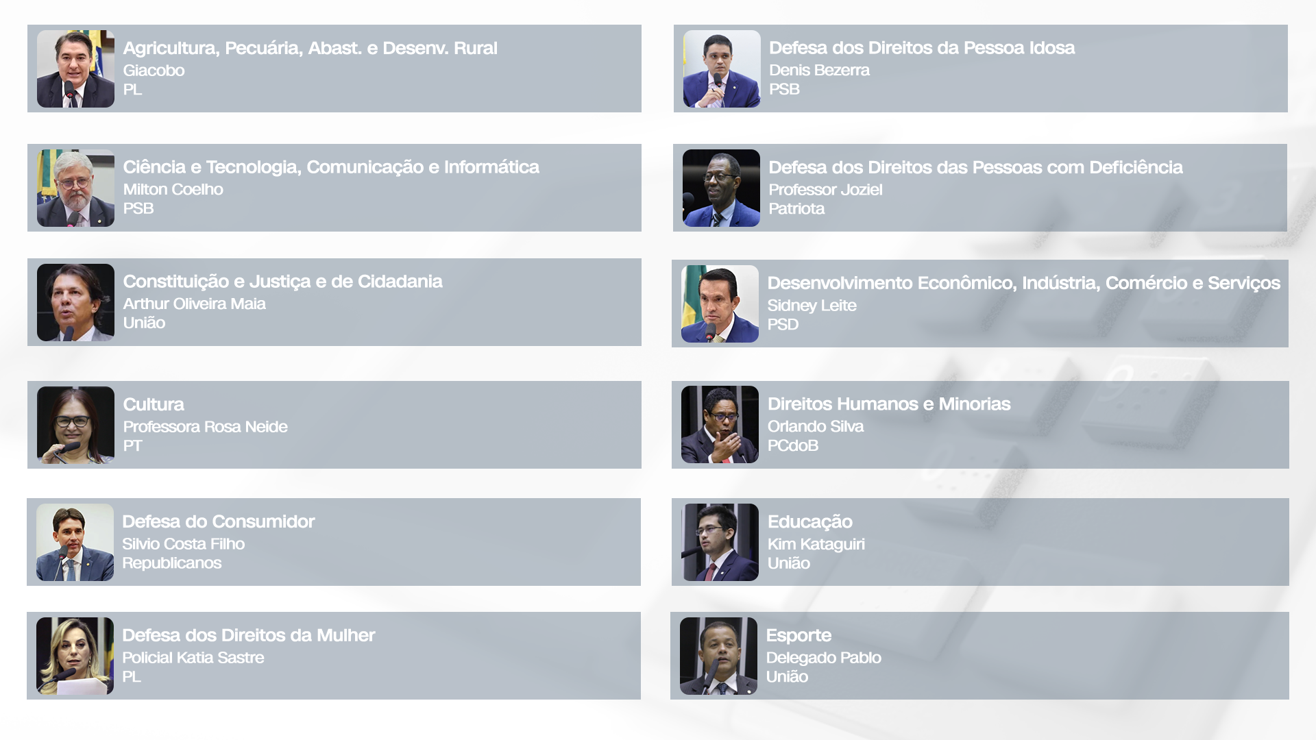 Eleitos nas Comissões da Câmara dos Deputados / Arte/CNN