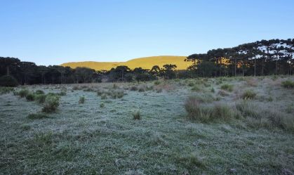 Inmet emite alerta de perigo para região Sul; neve e geada estão previstas