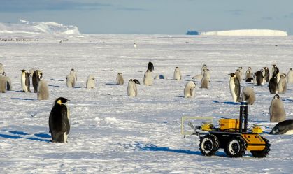 Robô ajuda ciência a entender impactos das mudanças climáticas em pinguins