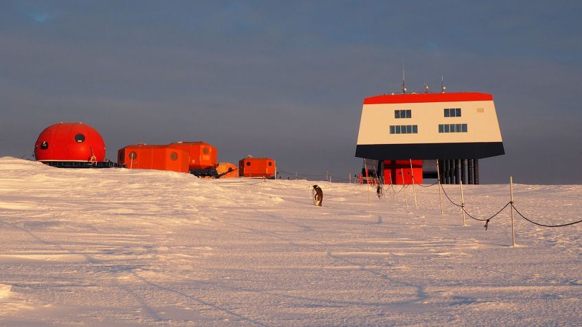 Pinguim solitário é visto durante o processo de perda da penugem em frente à base de pesquisas alemã Neumayer Station III / Celine Le Bohec/CNRS/CSM